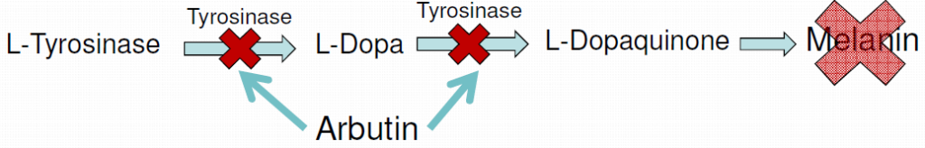 Đẹp Thuần Khiết