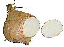 Đẹp Thuần Khiết