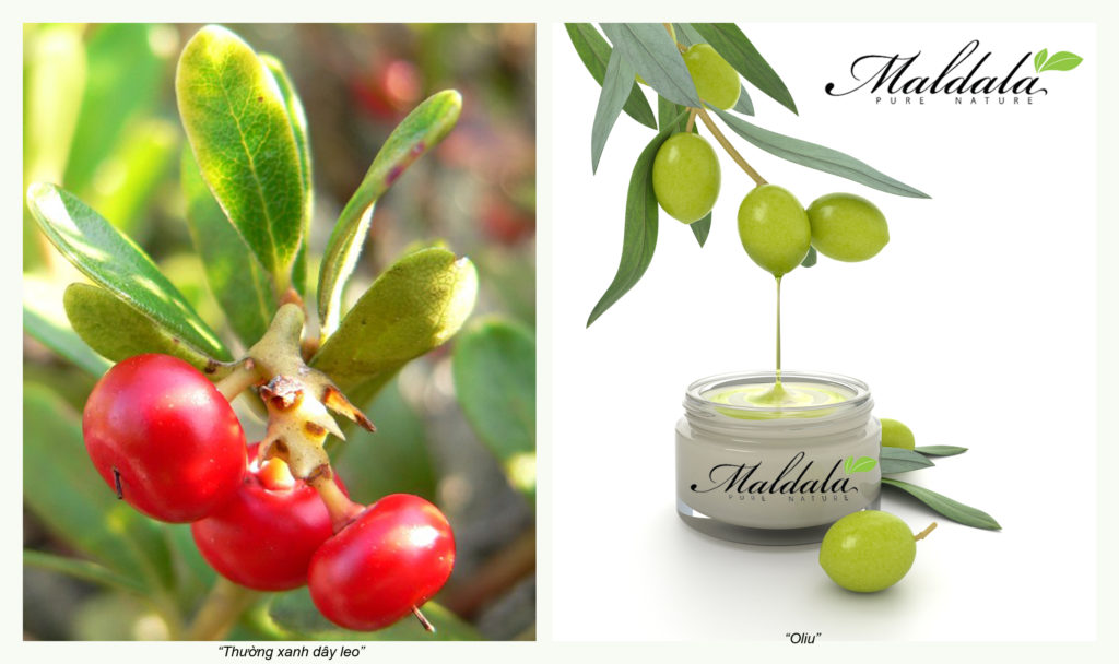 Đẹp Thuần Khiết