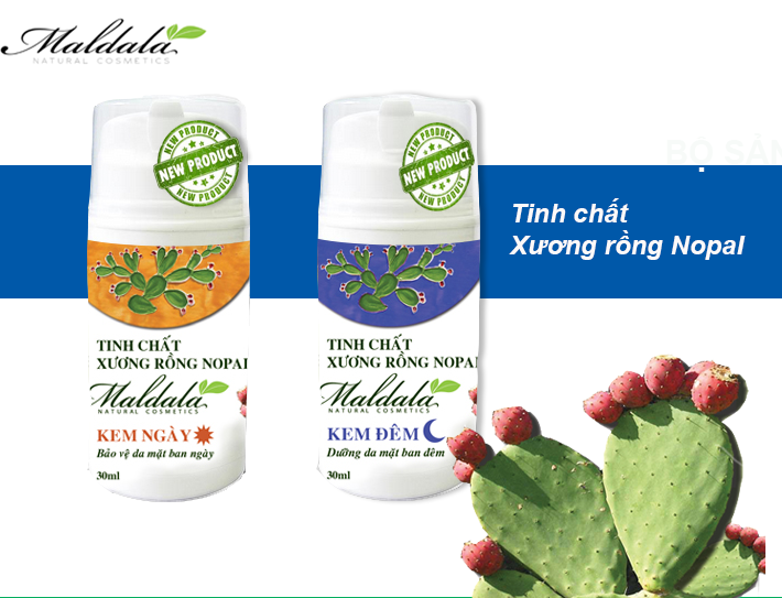 Đẹp Thuần Khiết