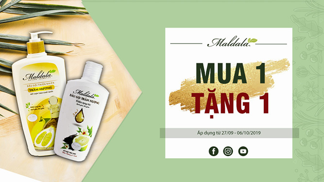 Đẹp Thuần Khiết